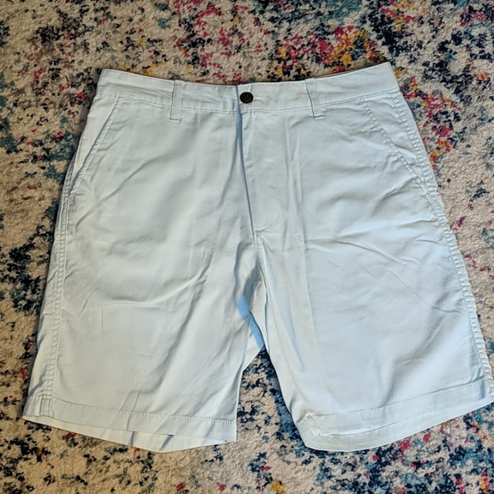 🌟 2 for 10 🌟Mint Flat Front Shorts